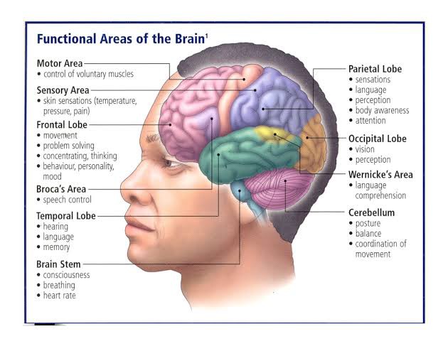 The Principles of Neuro-assessment and Investigations of the&nbsp;PNS